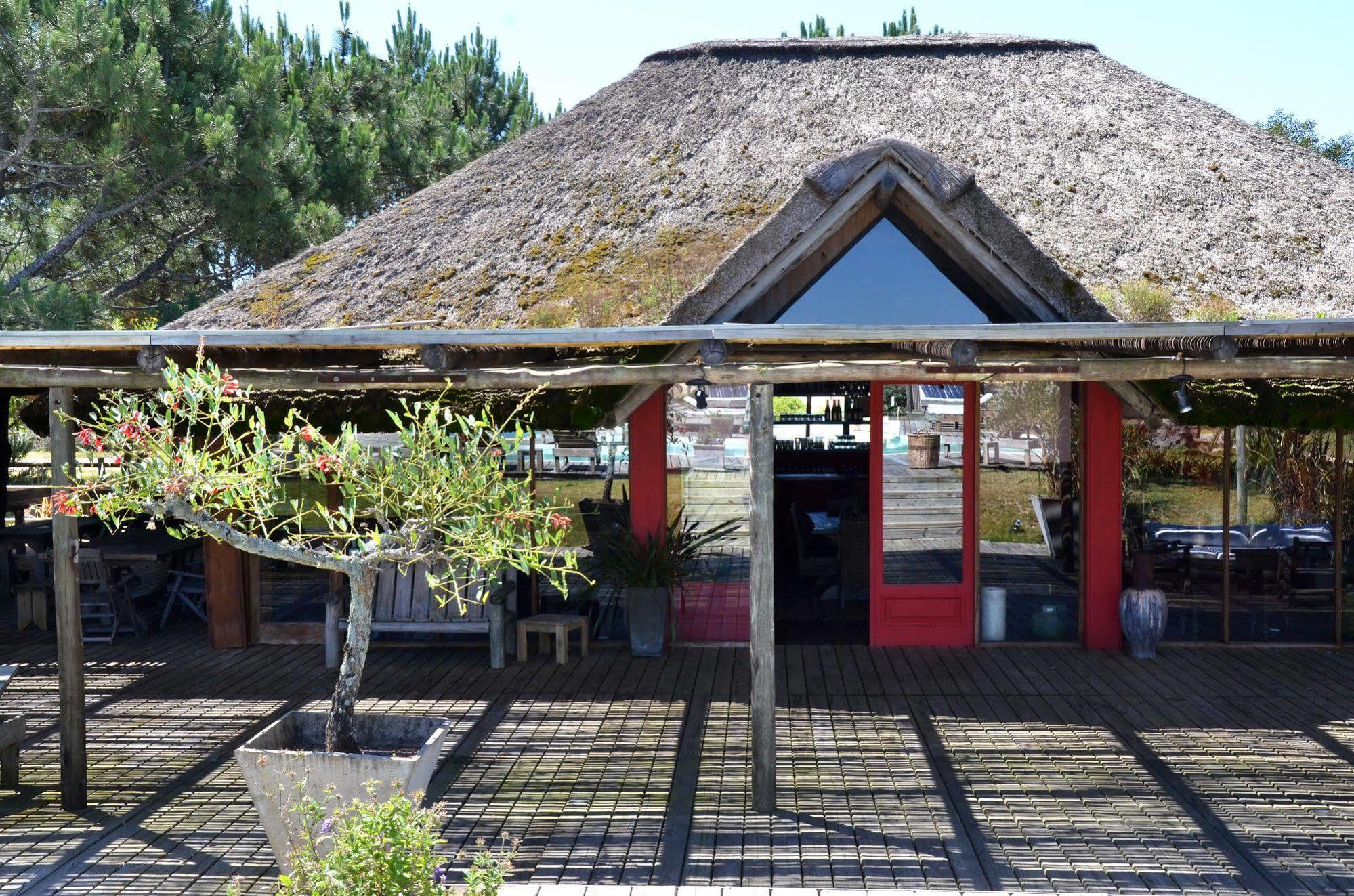 Casa Suaya Hotell José Ignacio Exteriör bild