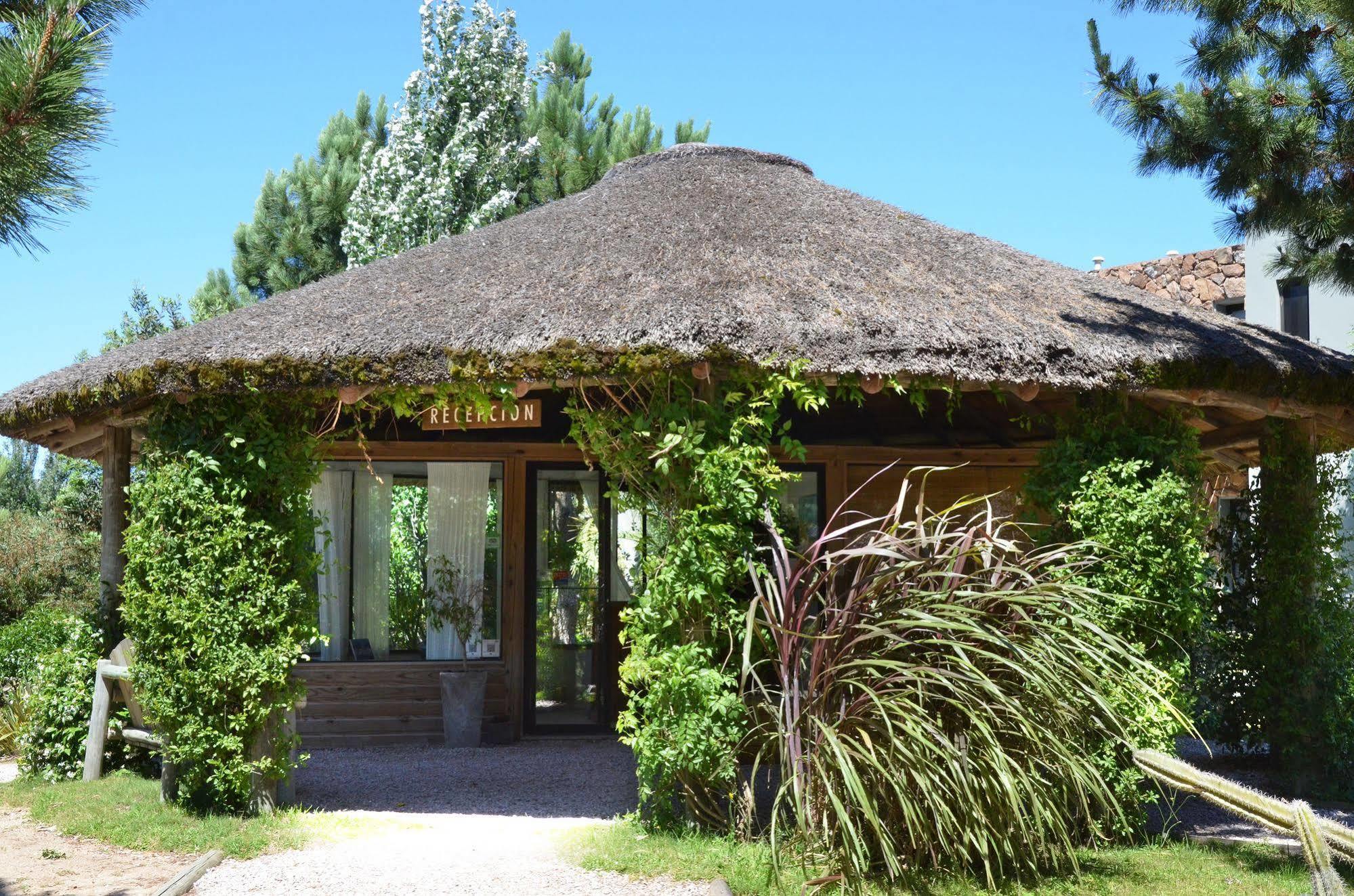 Casa Suaya Hotell José Ignacio Exteriör bild